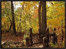 Jesień, Mostek, Park, Liście