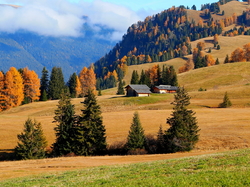 Jesień, Wzgórza, Pola, Region Trydent-Górna Adyga, Włochy, Drzewa, Płaskowyż Seiser Alm, Domy