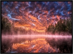 Jezioro, Drzewa, Chmury, Mgła