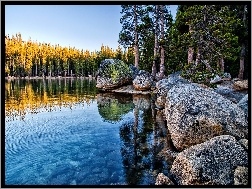 Kalifornia, Jezioro Tenaya, Las, Yosemite Park Narodowy