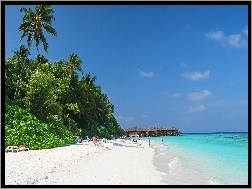 Niebo, Palmy, Fihalhohi, Malediwy, Plaża