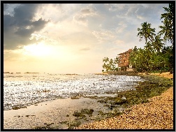 Palmy, Plaża, Ocean, Sri Lanka, Dom
