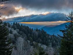 Stan Karolina Północna, Chmury, Las, Park Narodowy Great Smoky Mountains, Stany Zjednoczone, Góry