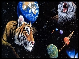 William Schimmel, Planety, Tygrysy, Kosmos