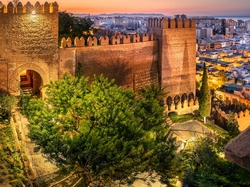 Twierdza Alcazaba, Hiszpania, Region Andaluzja, Drzewo, Malaga