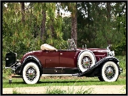 1931, Packard, Zabytkowy, Samochód, Deluxe