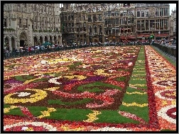 2008 rok, Wystawa kwiatów, Bruksela