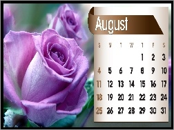 2013r, Róża, Kalendarz, Sierpień
