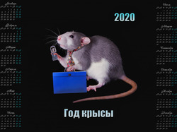 2020, Telefon, Teczka, Szczur, Kalendarz, Krawat