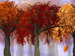 2D, Kolorowe, Jesień, Drzewa