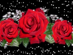 2D, Róże, Kwiaty, Czerwone