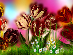 Kwiaty, Tulipany, Trawa, 2D