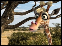 Żizel, Konferenz der Tiere, Safari 3D, Żyrafa
