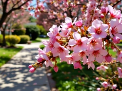 Gałązka, Kwiaty, Grafika AI