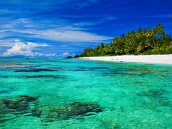 Atol Aitutaki, Plaża, Palmy, Ocean, Wyspy Cooka, Morze
