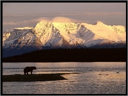 Niedźwiedź, Alaska, Góry
