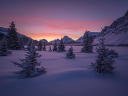 Alberta, Zima, Góra Crowfoot Mountain, Park Narodowy Banff, Jezioro Bow Lake, Zachód słońca, Drzewa, Góry, Kanada, Zamarznięte