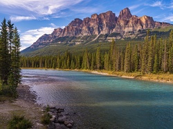 Bow River, Góry, Drzewa, Prowincja Alberta, Kanada, Las, Park Narodowy Banff, Rzeka