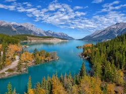 Lasy, Jezioro, Drzewa, Góry Skaliste, Kanada, Alberta, Canadian Rockies, Abraham Lake