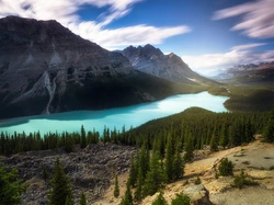 Lasy, Peyto Lake, Chmury, Park Narodowy Banff, Kanada, Prowincja Alberta, Jezioro, Góry