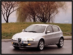 Alfa Romeo 147, Wierzba
