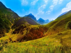 Region Piemont Alpy Kotyjskie, Góry, Drzewa, Przełęcz Colle Fauniera, Włochy, Wzgórza
