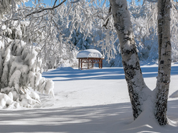 Altanka, park, Śnieg, Zima, Drzewa