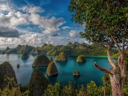 Morze, Indonezja, Raja Ampat, Drzewa, Wyspy, Chmury