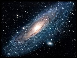 Andromeda, Gwiazdy
