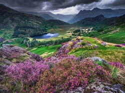 Jezioro, Park Narodowy Lake District, Wrzosowisko, Anglia, Skały, Chmury, Cumbria, Góry