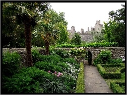 Anglia, Kwiaty, Drzewa, Park, Zamek Arundel