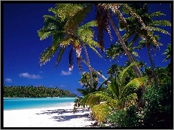 Antyle, Plaża, Dżungla, Barbados, Małe, Morze