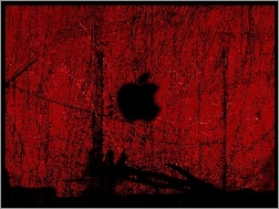 iPodów, Apple, Producenta