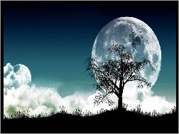 Apple, Noc, Drzewo, Księżyc, Logo