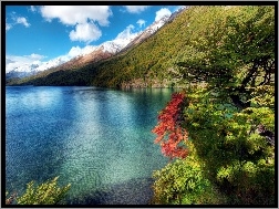 Argentyna, Góry, Jezioro, Drzewa