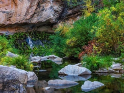 Kamienie, Rzeka, Sedona, West Fork Oak Creek, Stany Zjednoczone, Arizona, Drzewa, Skały