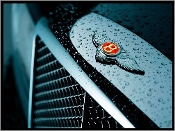 Bentley Arnage, Emblemat