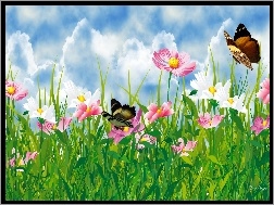 Art, Niebo, Kwiaty, Motyle