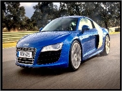 Niebieskie, Audi R8
