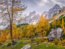 Kamienie, Drzewa, Alpy, Austria, Salzburg, Góry, Jesień