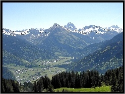 Austria, Dolina, Drzewa, Ośnieżone, Kanisfluh, Góry