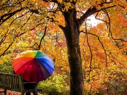 Ławka, Drzewa, Jesień, Kolorowa, Para, Parasolka