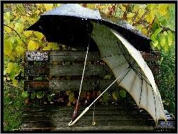 Deszcz, Ławka, Parasole