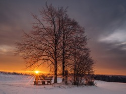 Drzewa, Bawaria, Śnieg, Zachód słońca, Górny Palatynat, Niemcy, Ławka
