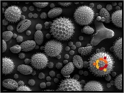 bakterie, ludzie, symbol, wirusy, Ubuntu, krąg