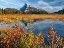 Jezioro, Góra, Vermilion Lake, Kanada, Drzewa, Jesień, Park Narodowy Banff, Mount Rundle