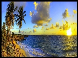 Barbados, Palmy, Chmury, Morze, Zachód Słońca