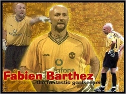 Barthez, Piłka nożna, bramkarz
