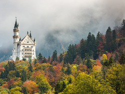 Drzewa, Bawaria, Las, Jesień, Zamek Neuschwanstein, Niemcy, Mgła