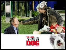 pies, bezdomny, Tim Allen, The Shaggy Dog, kij